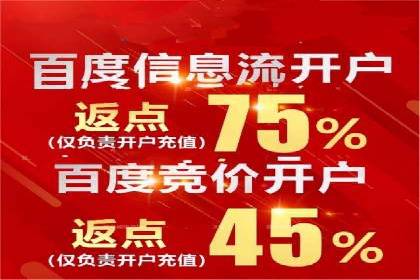 实战技巧：竞价推广案例解析与优化策略